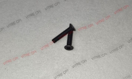 Vis t&ecirc;te frais&eacute;e noire